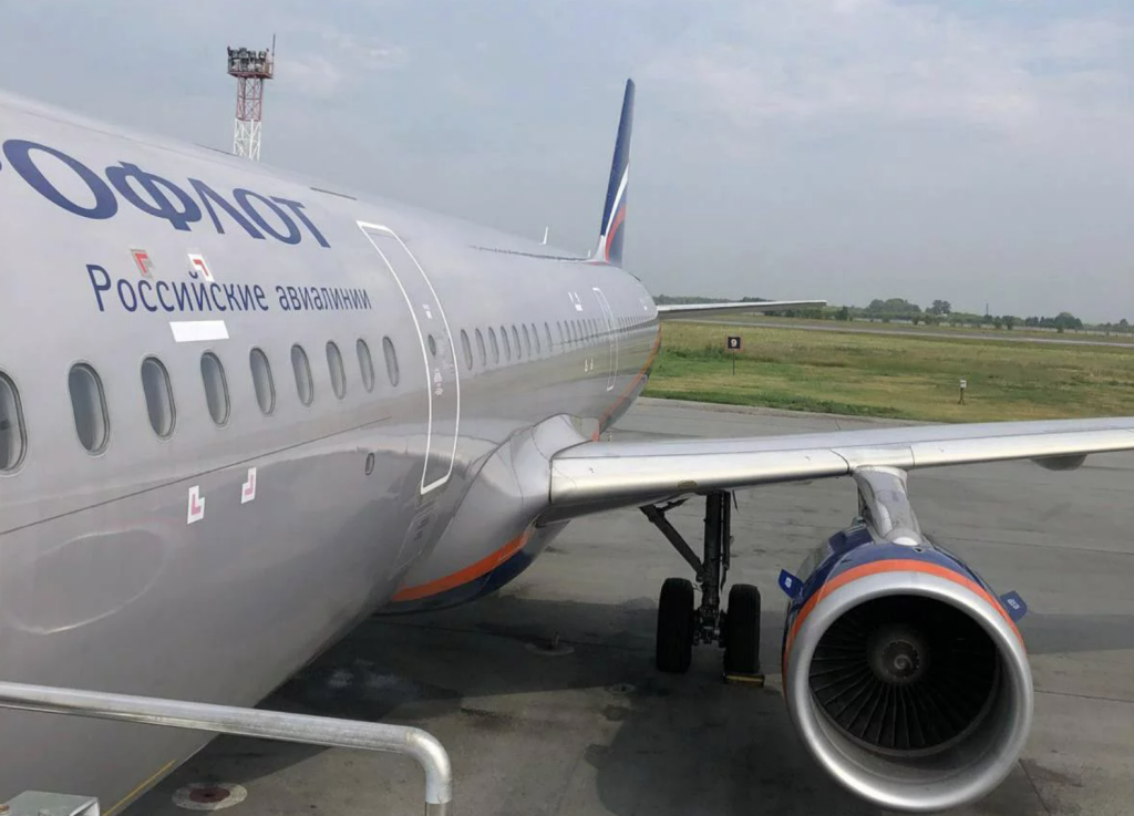 Аэрофлоту пришлось экстренно посадить самолет в Толмачево из-за столкновения с птицей