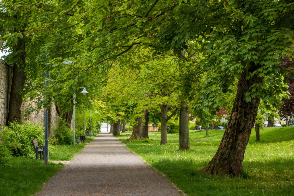 В Краснодаре в этом году обновят три общественных пространства в рамках конкурса проектов местных инициатив