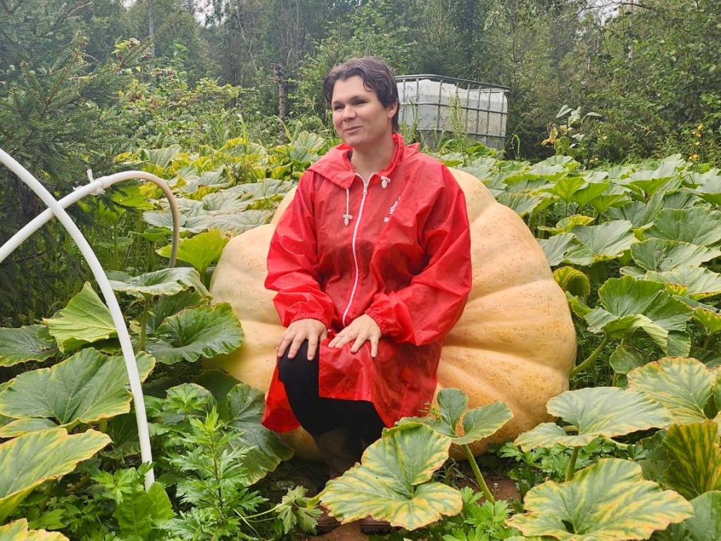 Дачница из Волоколамска вырастила тыкву весом почти полтонны