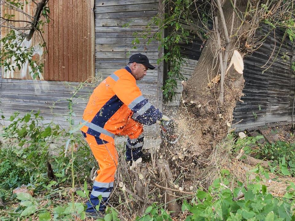 В Ивантеевке в Детском проезде выполнен спил аварийных деревьев в рамках подготовки к демонтажу дома В Ивантеевке в Детском проезде выполнен спил аварийных деревьев в рамках подготовки к демонтажу дома