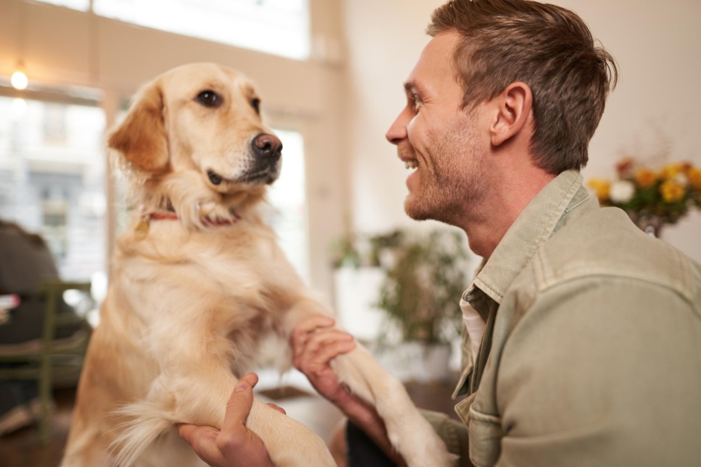 «Додо Пицца» станет pet-friendly и начнёт системно помогать приютам