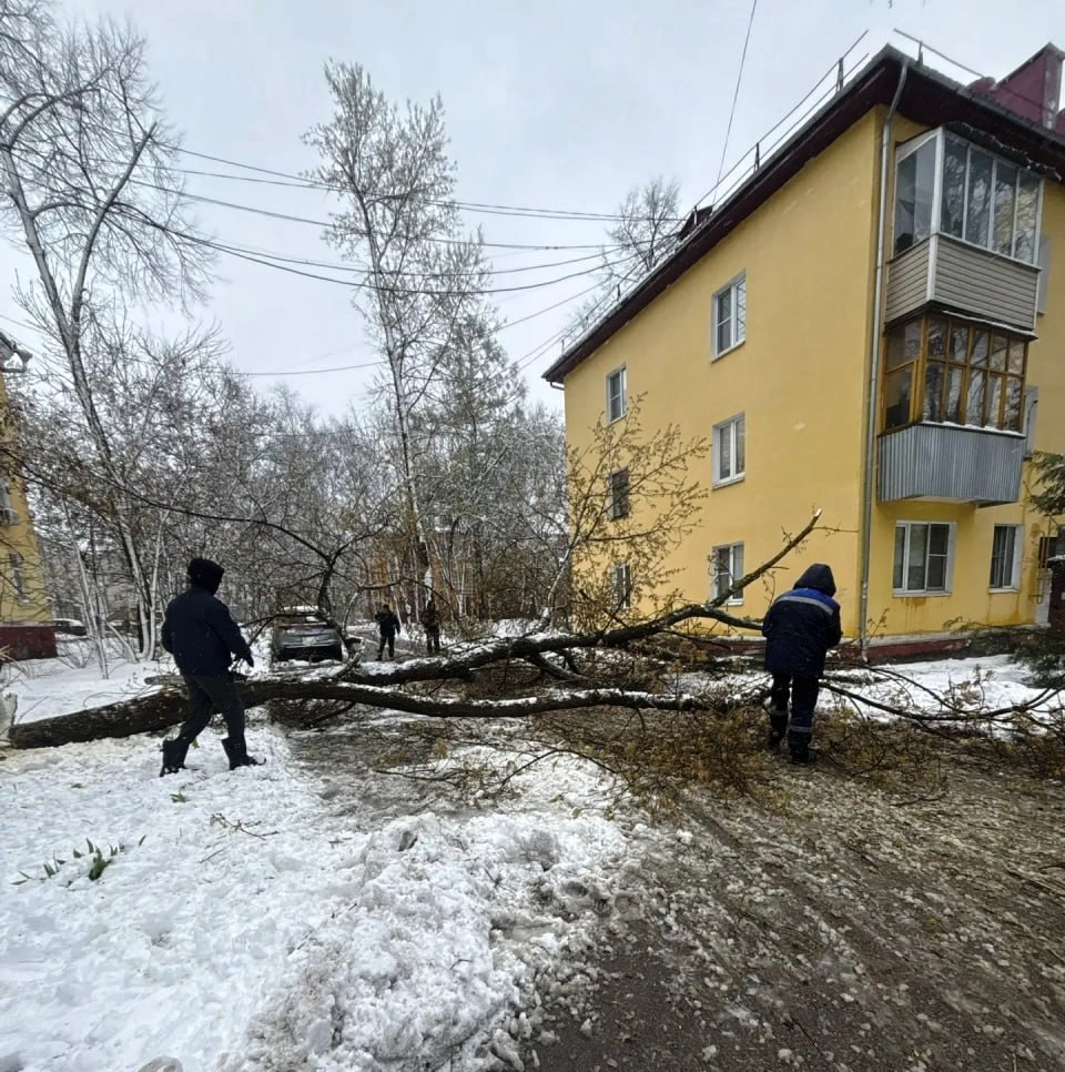 В подмосковном Пушкинском 20 бригад ликвидируют последствия непогоды — электроснабжение восстанавливают по 70 заявкам