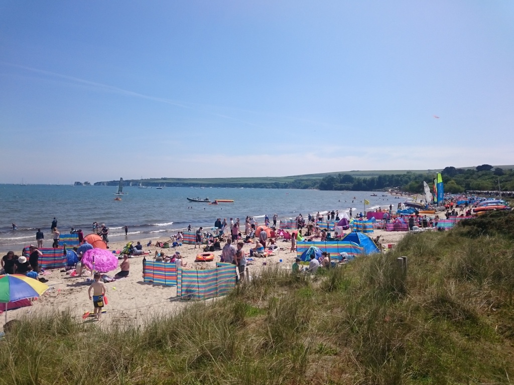 Губернатор Воронежской области распорядился привести в порядок пляжи перед началом купального сезона