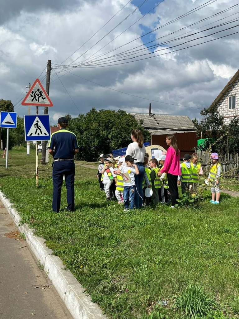 Инспектор ДПС провел урок безопасности для дошколят Инсара