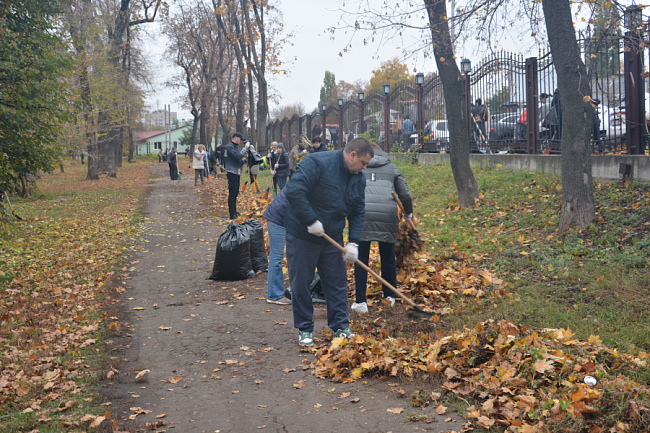 В Воронеже депутаты гордумы совместно с избирателями навели порядок во дворах и парках