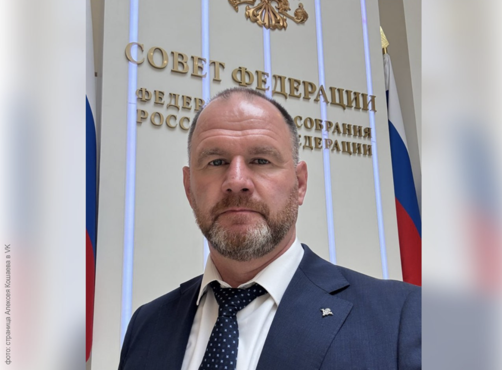 Депутат Заксобрания Ульяновской области рассказал об опыте региона в вопросах поддержки участников СВО в Общественной палате России