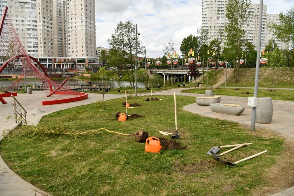 Зелёное обновление набережной Серебрянки: 95 новых деревьев украсили любимое место отдыха жителей подмосковного Пушкино Зелёное обновление набережной Серебрянки: 95 новых деревьев украсили любимое место отдыха жителей подмосковного Пушкино